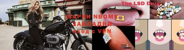 мяу мяу кристалл Корсаков