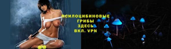 прущая мука Краснослободск