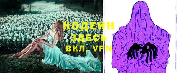 индика Костерёво
