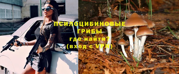 индика Костерёво