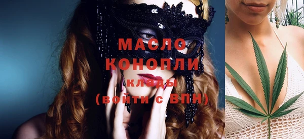 индика Костерёво