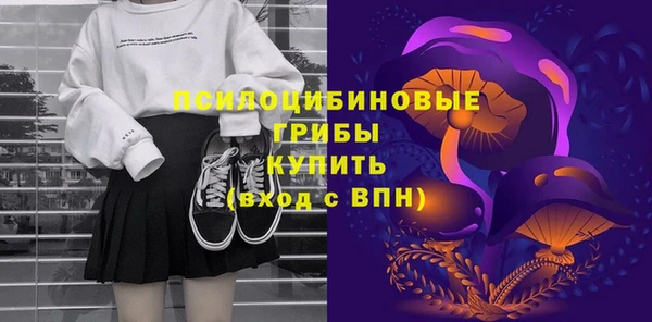 2c-b Коряжма