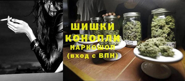 мяу мяу кристалл Корсаков