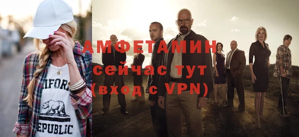 индика Костерёво