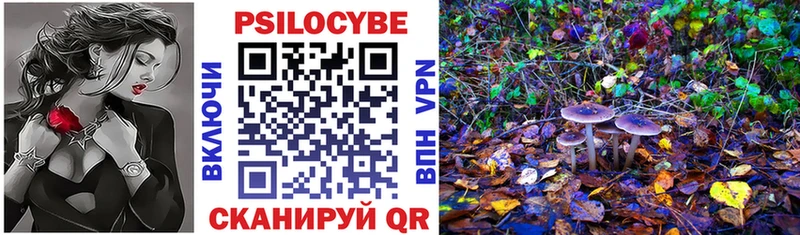 Псилоцибиновые грибы мицелий  OMG вход  Таштагол  дарнет шоп 